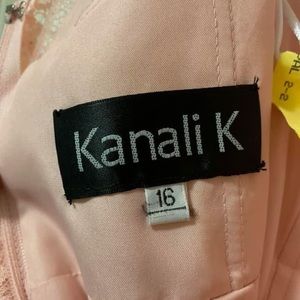 Size 16 Blush lace dress